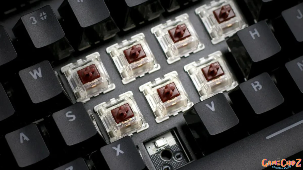 Switches of a mechanical keyboard