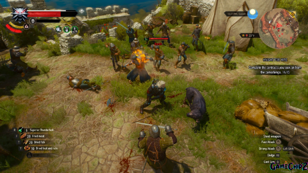 The witcher 3 combat